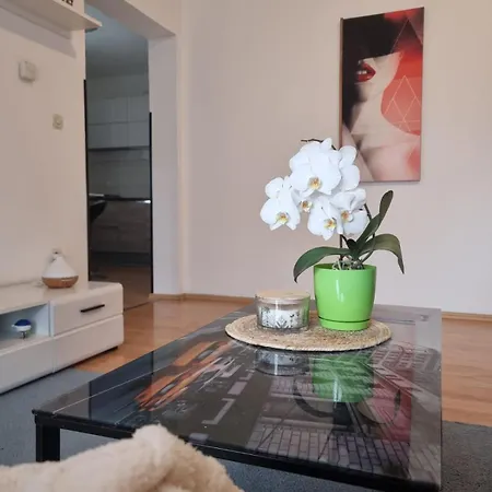 Apartment Stefy-100 M From The Sea *